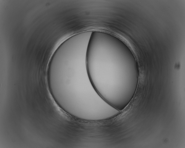 X0000090911050200708271001