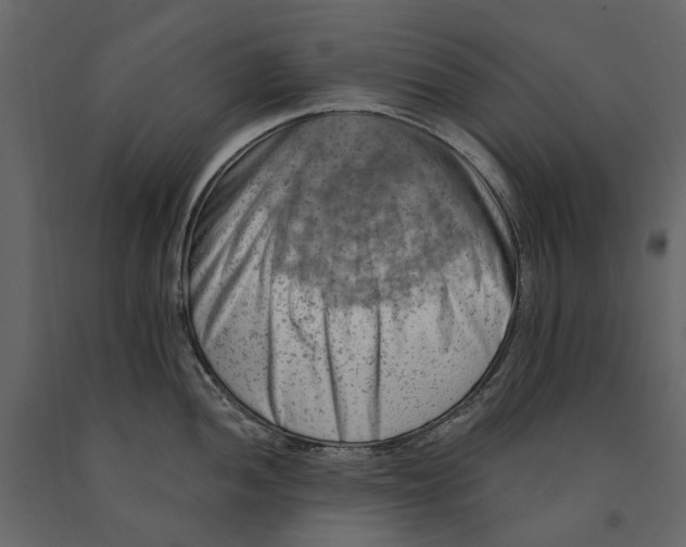 X0000090911052200708271001