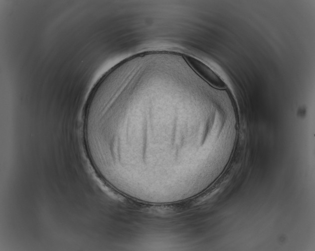 X0000090911053200708271001