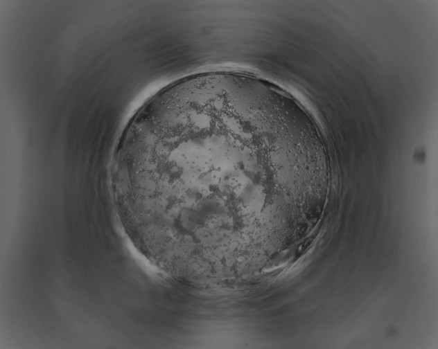 X0000090911054200708271001