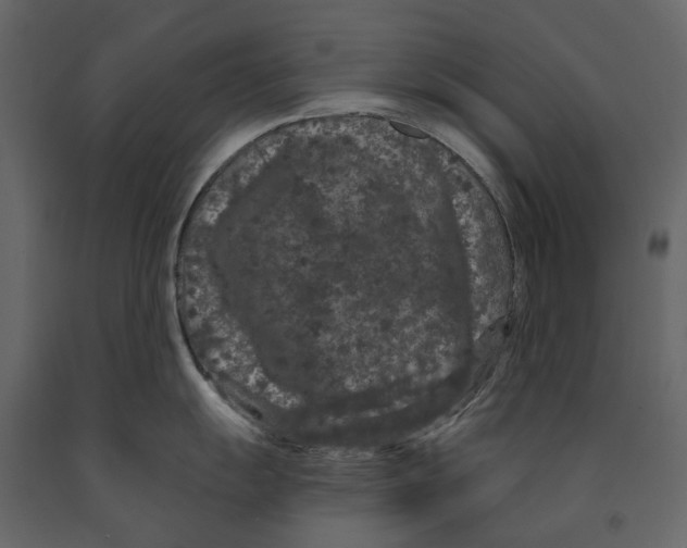 X0000090911055200708271001