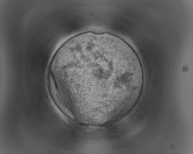 X0000090911056200708271001