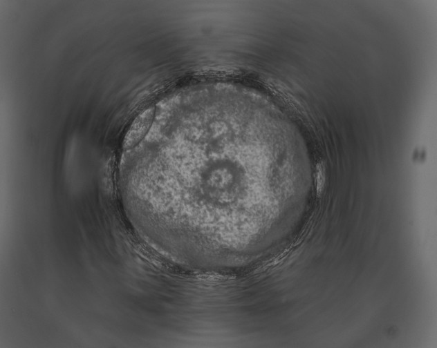 X0000090911059200708271000