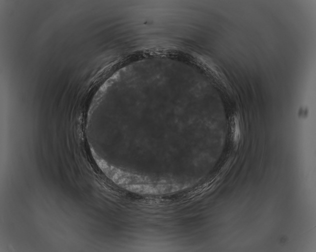 X0000090911060200708271000