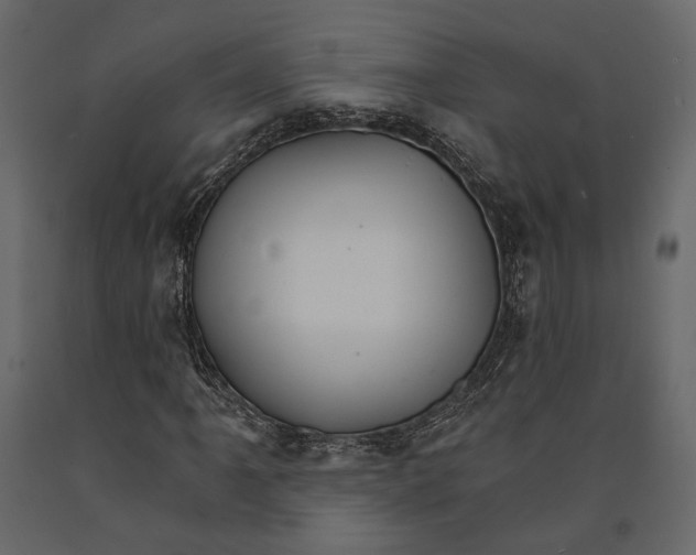 X0000090911061200708271000