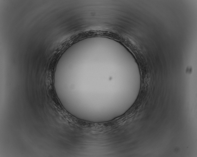 X0000090911062200708271000