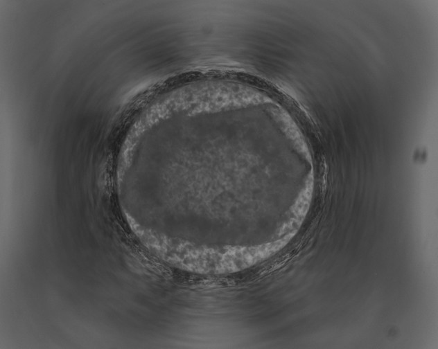 X0000090911063200708271000