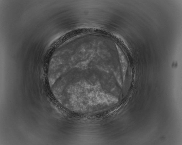 X0000090911064200708271000