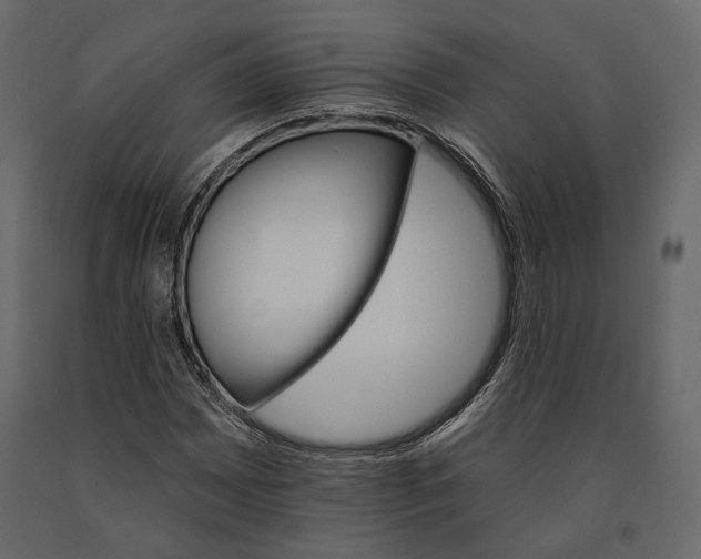 X0000090911065200708271000