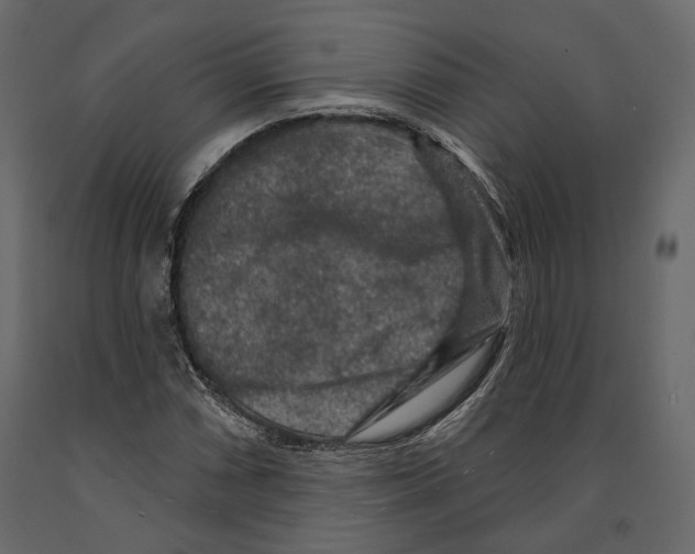 X0000090911066200708271000