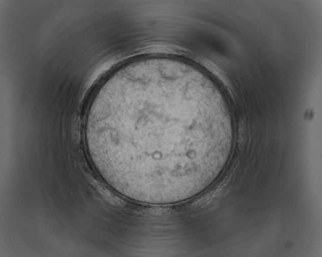 X0000090911067200708271000