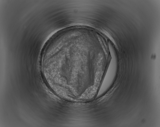 X0000090911068200708271000