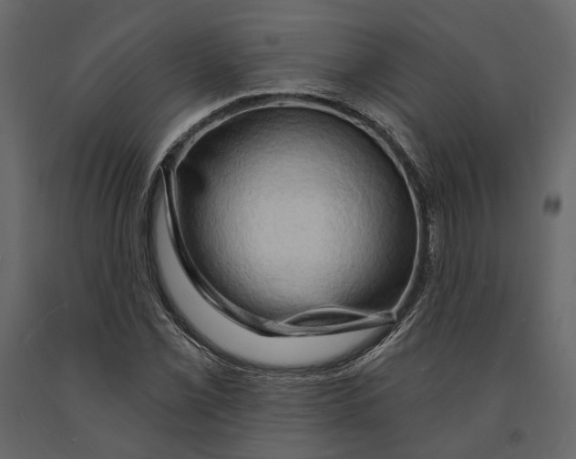 X0000090911069200708271000