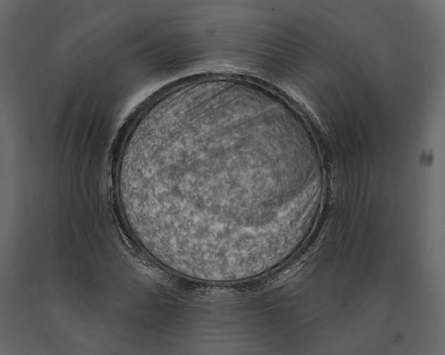 X0000090911070200708271000