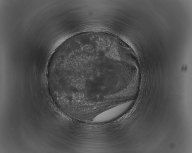 X0000090911071200708271000