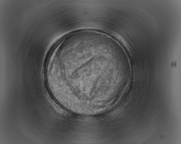 X0000090911072200708271000