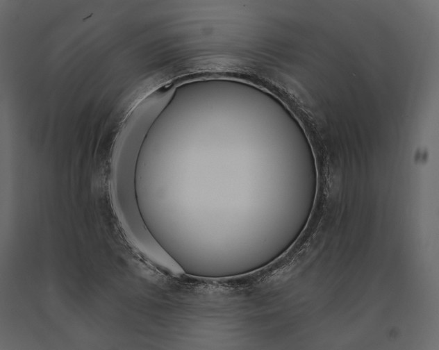 X0000090911073200708271000