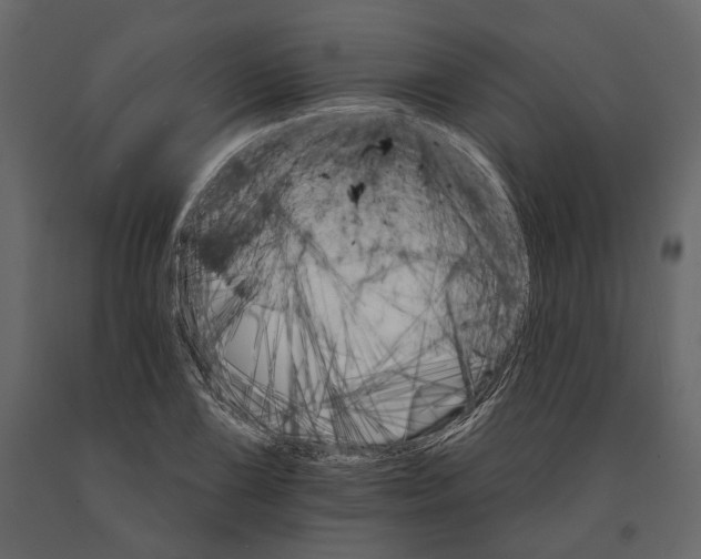 X0000090911075200708271000