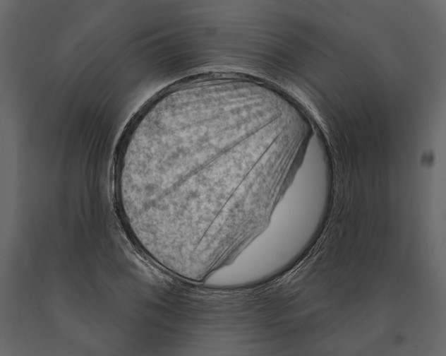 X0000090911076200708271000