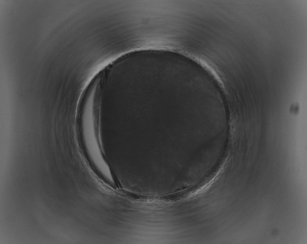 X0000090911077200708271000