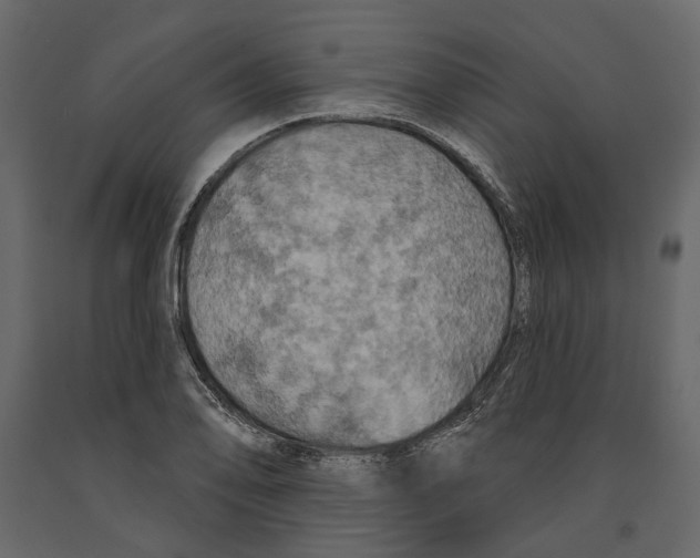 X0000090911078200708271000