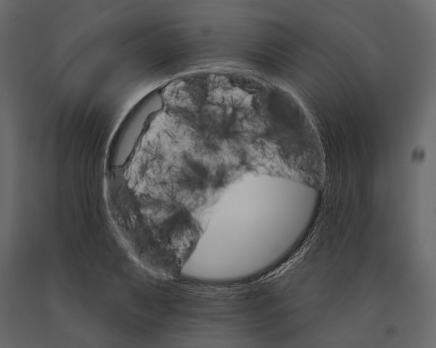 X0000090911079200708271000