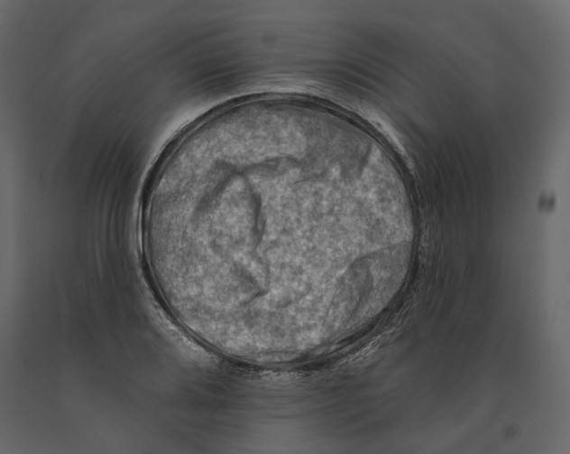 X0000090911080200708271000