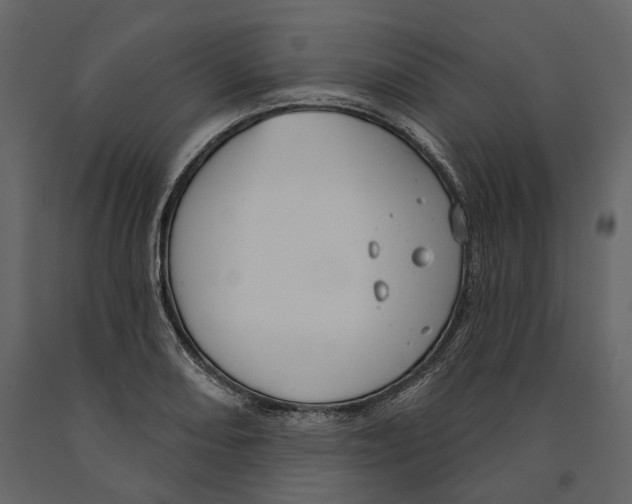 X0000090911082200708271000