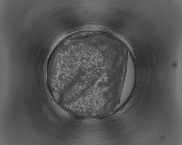 X0000090911083200708271000