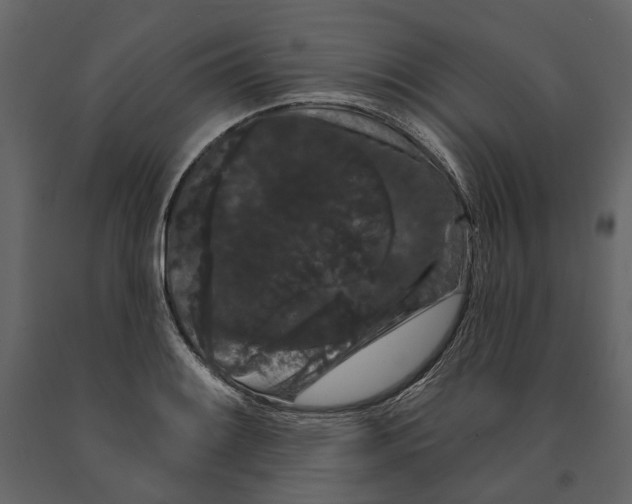 X0000090911084200708271000