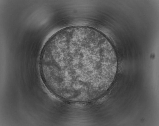 X0000090911086200708271000