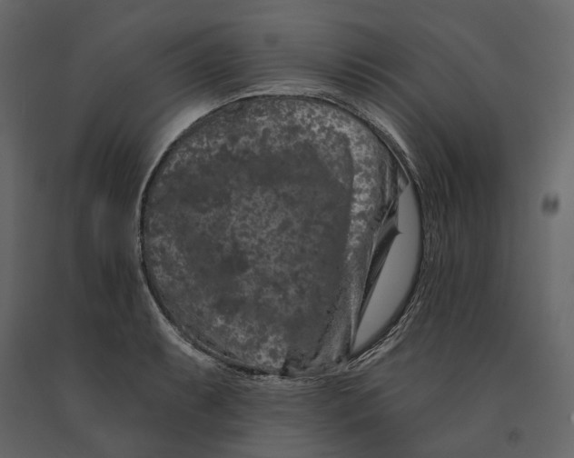 X0000090911087200708271000