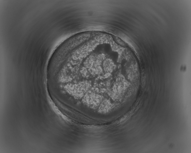 X0000090911088200708271000