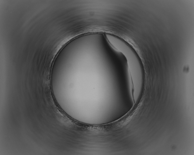 X0000090911089200708271000