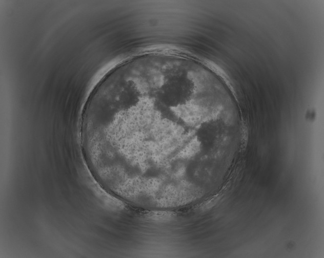 X0000090911090200708271000