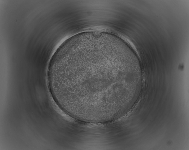 X0000090911091200708271000