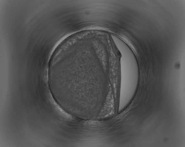 X0000090911092200708271000