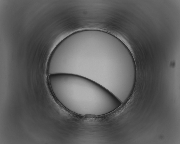 X0000090911093200708271000