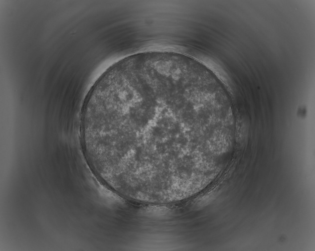 X0000090911094200708271000