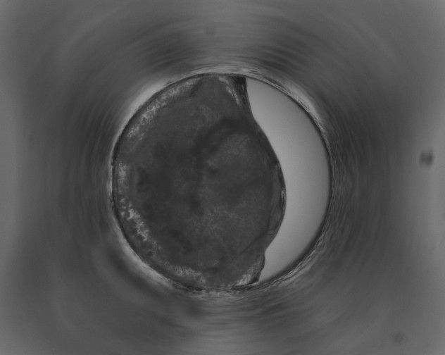 X0000090911095200708271000