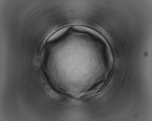 X0000090911097200708271000