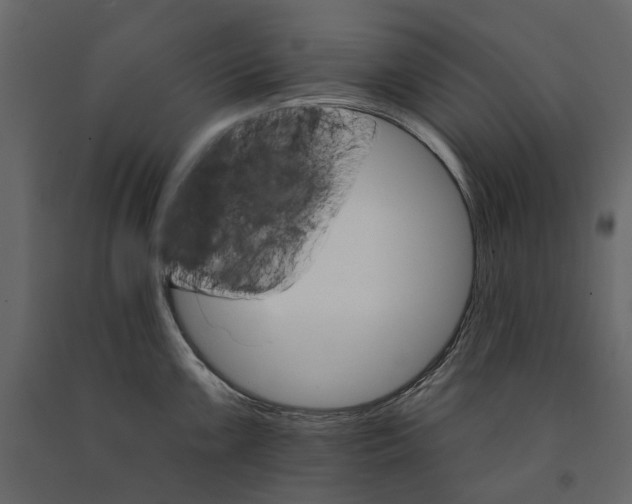 X0000090911099200708271000