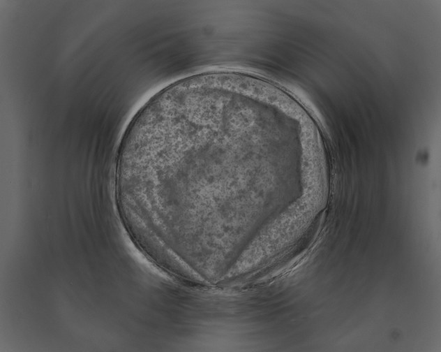 X0000090911100200708271000