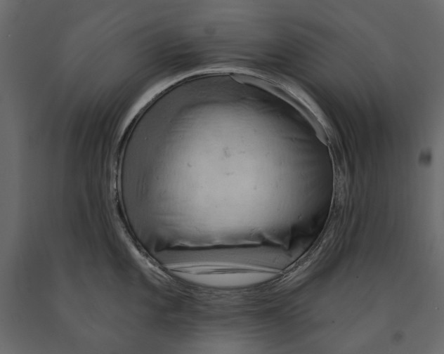 X0000090911101200708271000