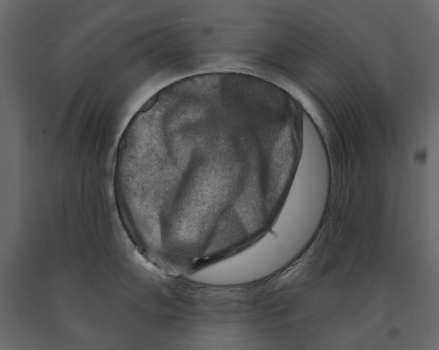 X0000090911102200708271000