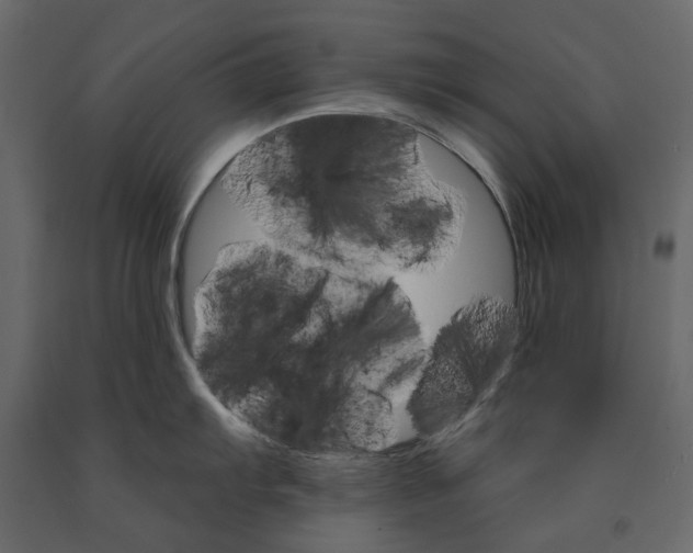 X0000090911103200708271000