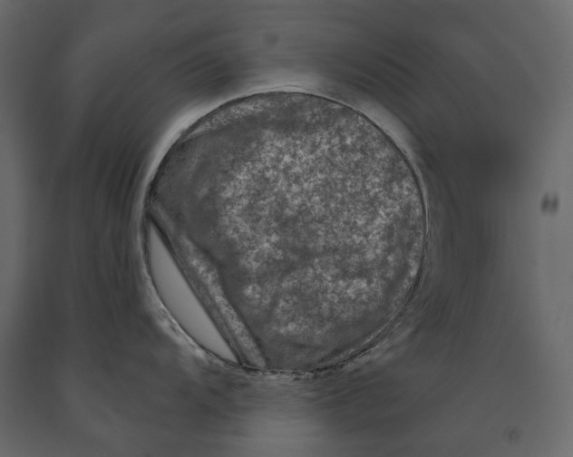 X0000090911104200708271000