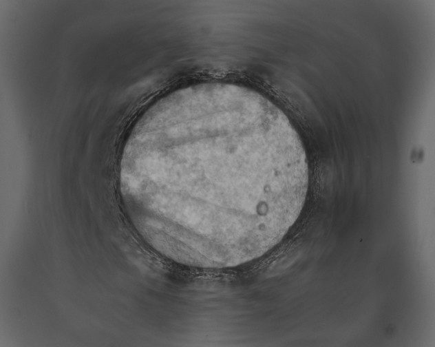 X0000090911105200708270959