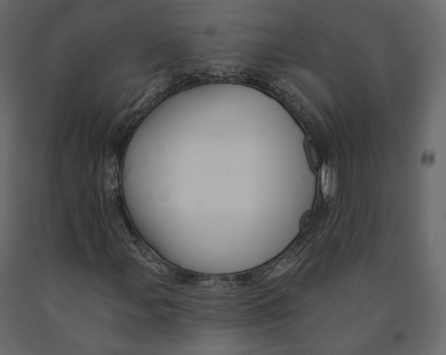 X0000090911107200708270959