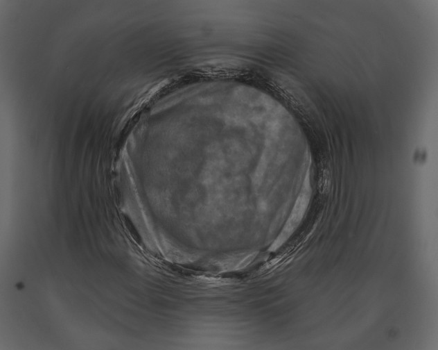 X0000090911108200708270959